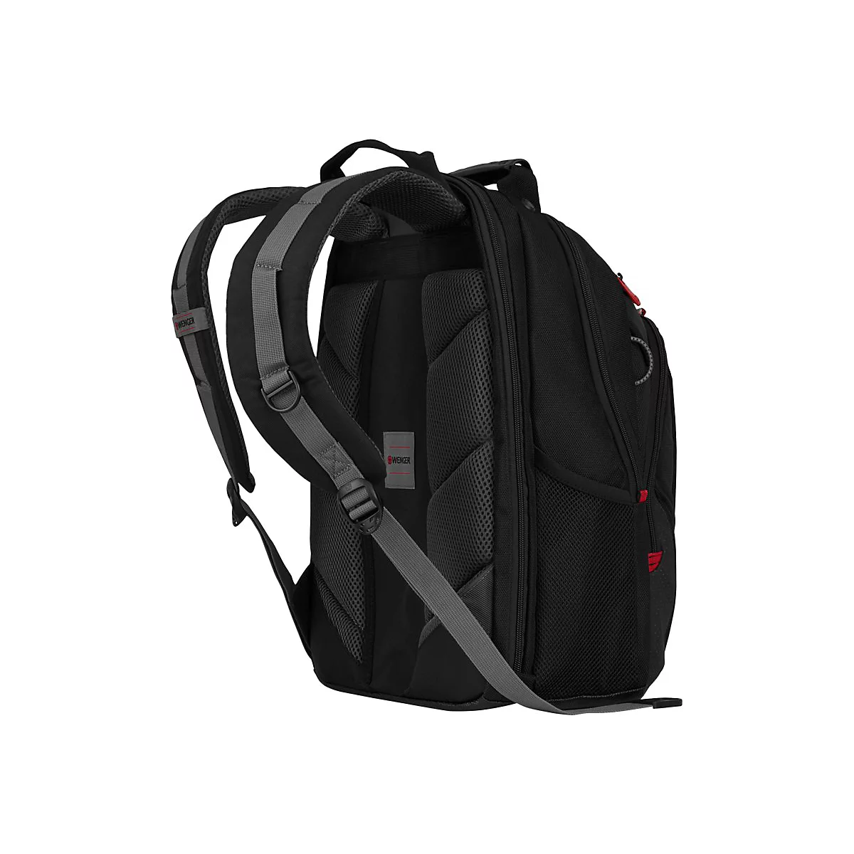 Schwarzer Rucksack mit grauen Schultergurten. Detailansicht der RÃ¼ckseite. Roter Akzent an der Seite.