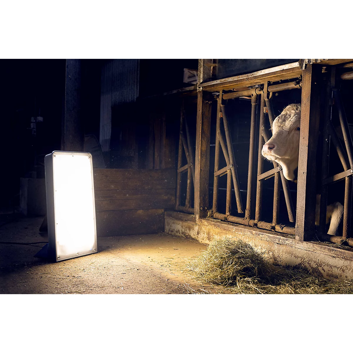 Werklamp Giant LED Evo 225W, 33000 lm, 220-240 V, IP54, slagvast, 2x Schuko stopcontacten, 5 m kabel, B 420 x D 320 x H 740 mm