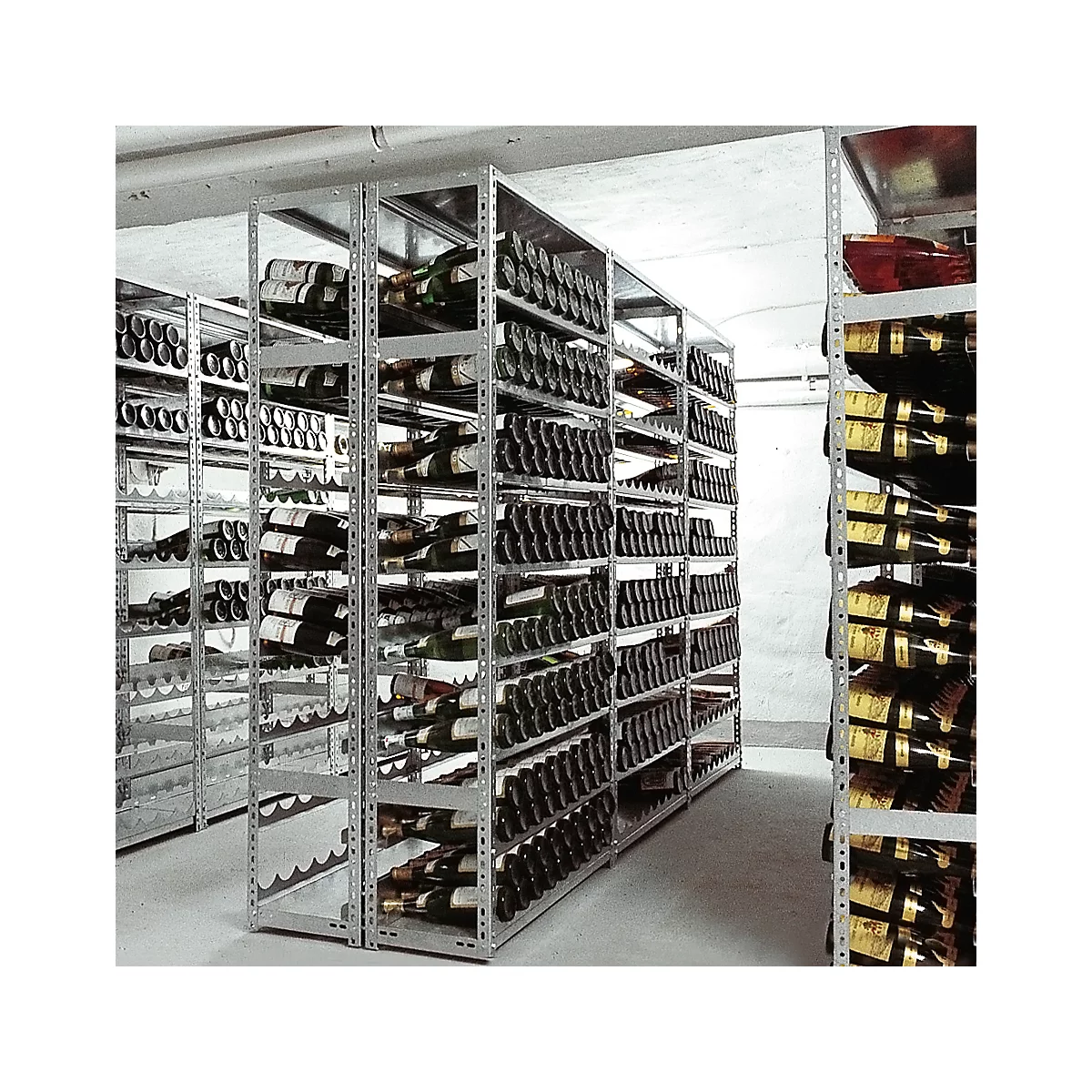 Wine cellar with shelves full of wine bottles. Dark bottles, yellow labels, cool atmosphere.