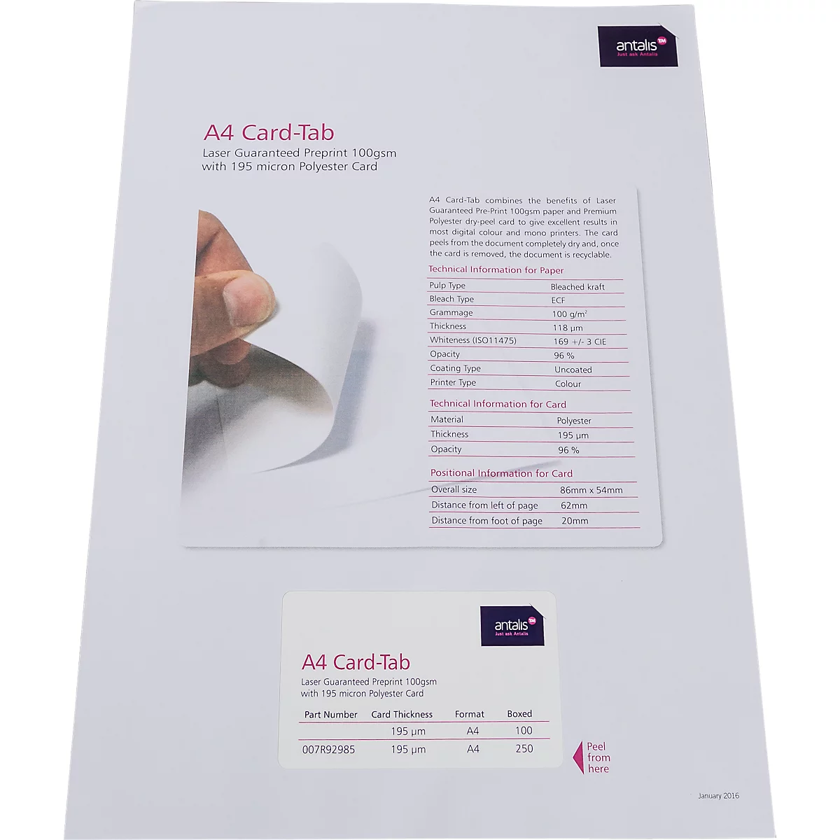 Xerox Lidmaatschapskaart Vlinder, 100g/m², polyester kaart, wit, A4 formaat, 500 vellen