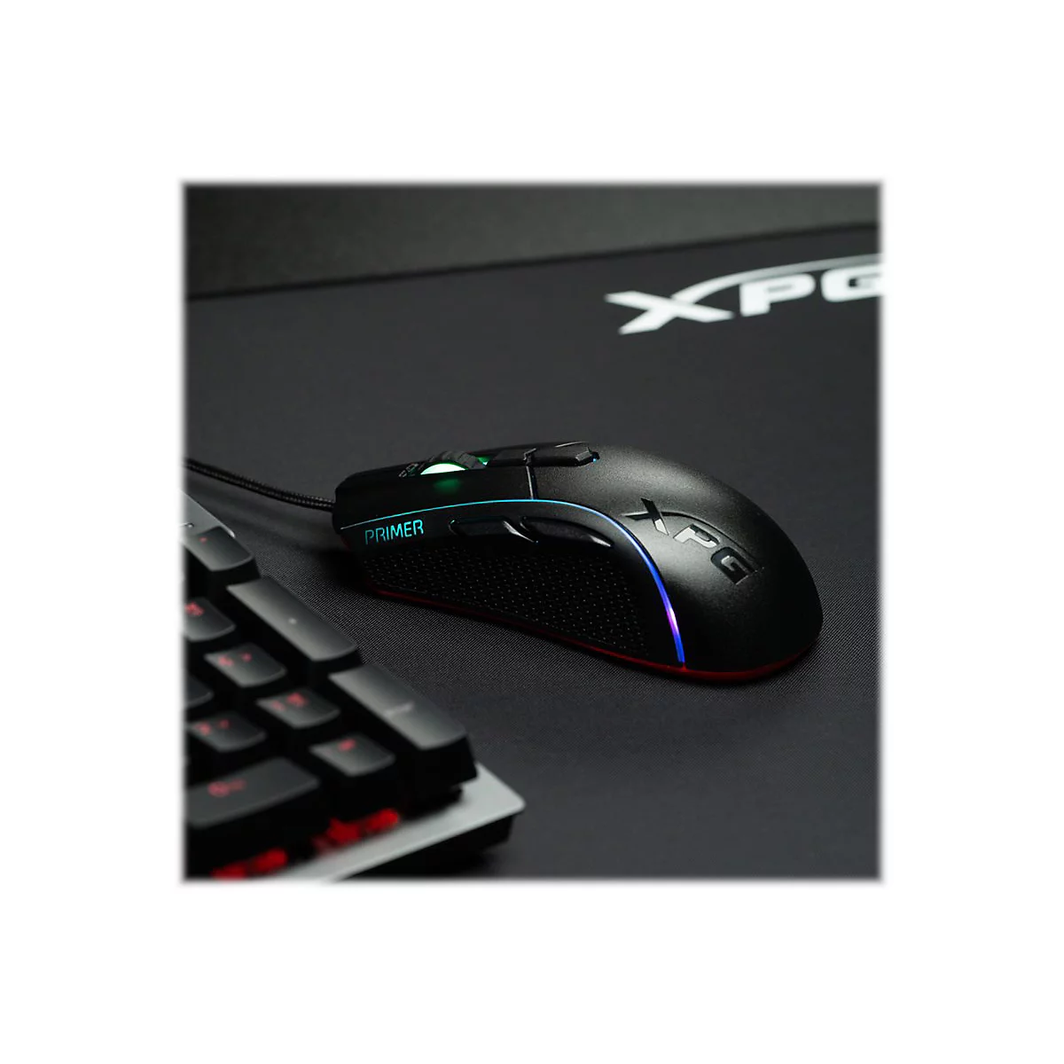 Schwarze Gaming-Maus mit LED-Beleuchtung liegt auf schwarzer Unterlage neben Tastatur. Auf der Maus steht "PRIMER" und "XPG".