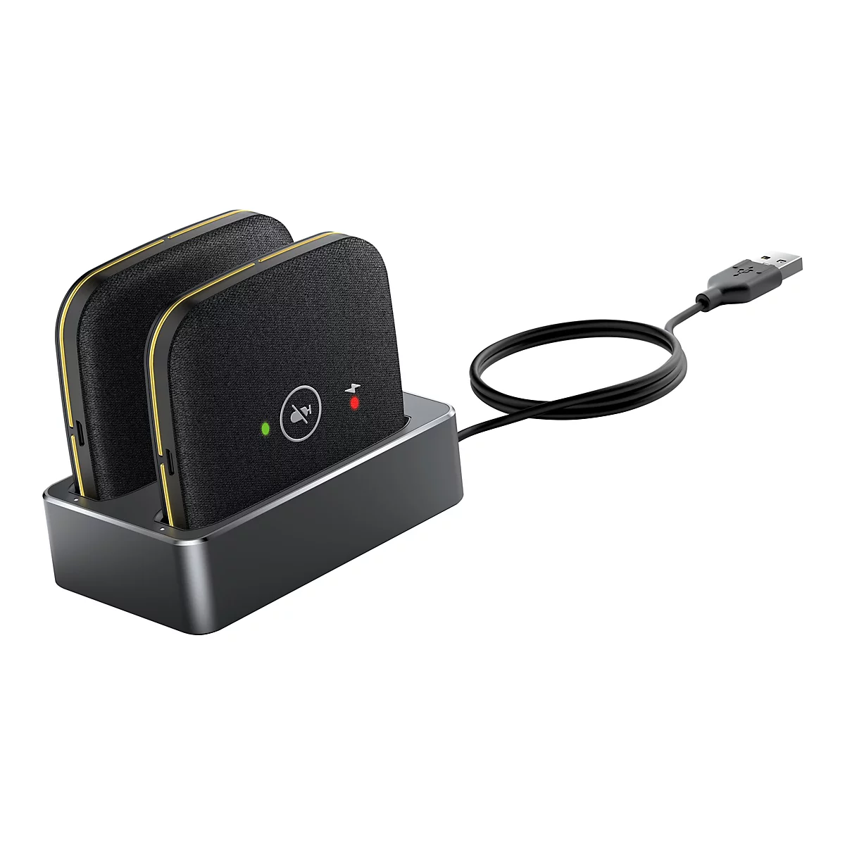 Zwei schwarze Mikrofon-Einheiten in einer grauen Ladestation mit USB-Kabel auf weißem Hintergrund.